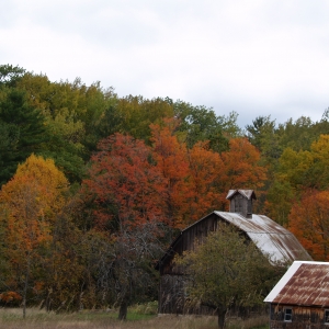 Farm in Sleeping Bear